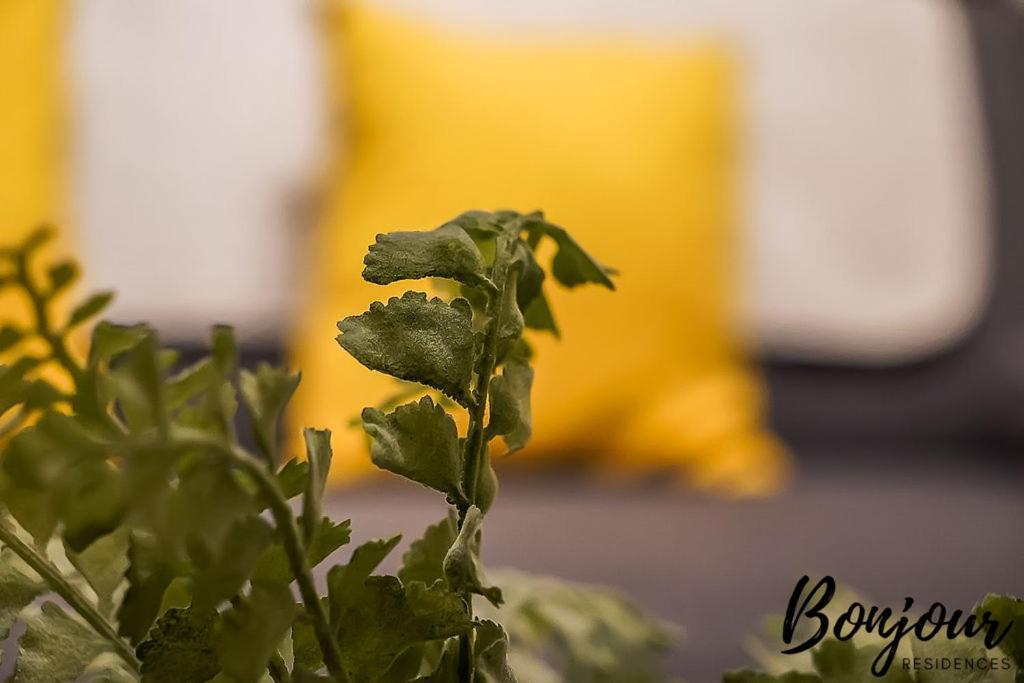 Spacious 2Br-1Ba - Grassmarket - Free Parking By Bonjour Residences Edimburgo Exterior foto